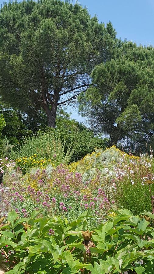 Au Calme Chez L'Habitant Foulayronnes Zewnętrze zdjęcie